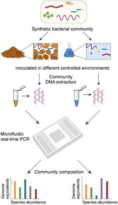 Resolving Species Level Changes in a Representative Soil Bacterial Community Using Microfluidic Quantitative PCR